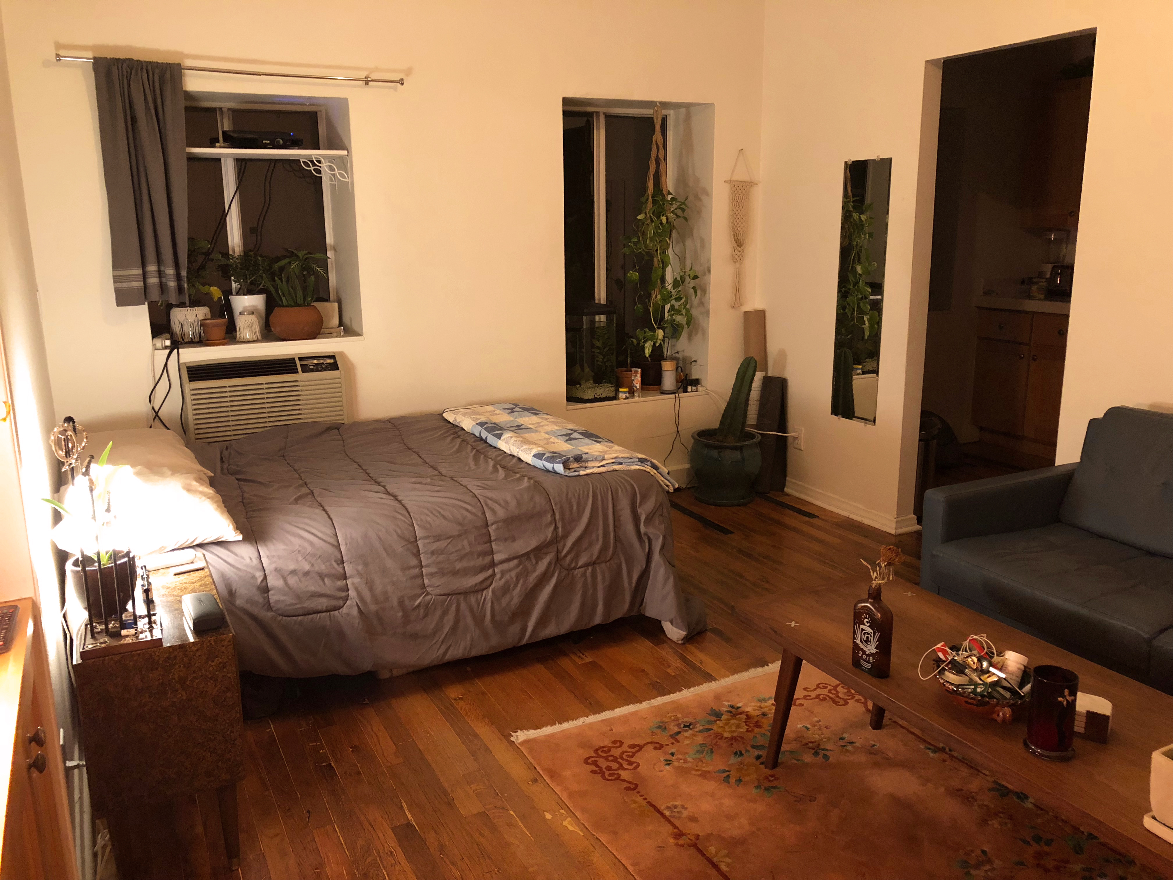 A bedroom with plants in warm lighting 